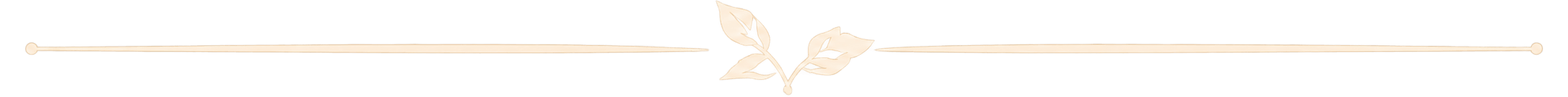Elegant Botanical Leaf Divider2