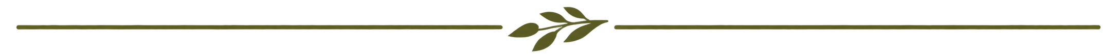 Minimalist Olive Branch Divider